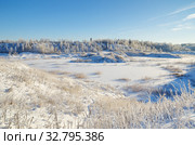 Зимний сельский пейзаж с видом на замерзший водоем (2014 год). Стоковое фото, фотограф Елена Коромыслова / Фотобанк Лори