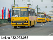 Колонна желтых городских автобусов Икарус на ежегодном параде ретро транспорта в честь Дня города. Санкт-Петербург (2019 год). Редакционное фото, фотограф Виктор Карасев / Фотобанк Лори
