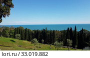 nature in Abkhazia near New Athos in summer. Стоковое видео, видеограф Володина Ольга / Фотобанк Лори