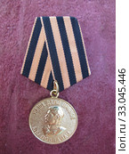 Медаль "За победу над Германией в Великой Отечественной войне 1941-1945 гг." Стоковое фото, фотограф Мария Кылосова / Фотобанк Лори