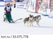 Male child mushing sled dog team running on distance Sled Dog Racing Competition (2018 год). Редакционное фото, фотограф А. А. Пирагис / Фотобанк Лори