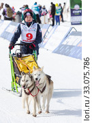 Male child mushing sled dog team running distance Dog Sled Racing Competitions (2018 год). Редакционное фото, фотограф А. А. Пирагис / Фотобанк Лори