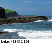 Green grass and blue ocean. Стоковое фото, фотограф Andreas Altenburger / Smarterpix / Фотобанк Лори