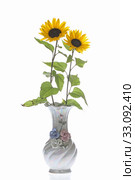 sunflowers in vase. Стоковое фото, фотограф Karl Koller / PantherMedia / Фотобанк Лори