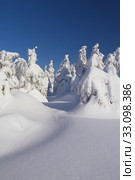 Winter view of snow covered trees. Стоковое фото, фотограф Jaroslav Frank / PantherMedia / Фотобанк Лори