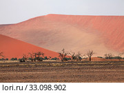 dune in the sesriem naukluft park. Стоковое фото, фотограф Willy Brüchle / PantherMedia / Фотобанк Лори