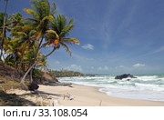 rampanalgas bay,trinidad. Стоковое фото, фотограф Willy Brüchle / PantherMedia / Фотобанк Лори