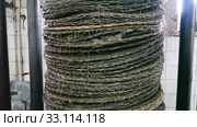 Closeup of stack of fiber mats with grinded olive paste during pressing of olive oil on artisanal factory. Стоковое видео, видеограф Яков Филимонов / Фотобанк Лори