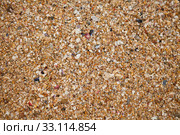 Sand and shell background. Стоковое фото, фотограф Elina Manninen / PantherMedia / Фотобанк Лори
