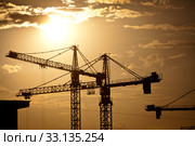 Cranes at dusk. Стоковое фото, фотограф Mihai Barbu / PantherMedia / Фотобанк Лори