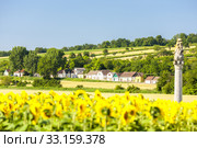 wine cellars with sunflower field, Immendorf, Lower Austria, Austria. Стоковое фото, фотограф Richard Semik / PantherMedia / Фотобанк Лори