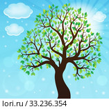 Silhouette of leafy tree theme 2. Стоковое фото, фотограф Klara Viskova / PantherMedia / Фотобанк Лори