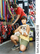 Portrait of smiling preteen boy holding havanese pup while in pet shop. Стоковое фото, фотограф Яков Филимонов / Фотобанк Лори