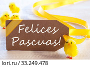 Label With Chicks, Text Felices Pascuas Means Happy Easter. Стоковое фото, фотограф Nadja Blume / PantherMedia / Фотобанк Лори