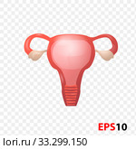 Women s reproductive system.Women s Health. Gynecology. Стоковая иллюстрация, иллюстратор Альдана Прокофьева / Фотобанк Лори