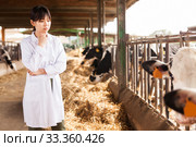 Professional female vet standing near calves barn in livestock farm. Стоковое фото, фотограф Яков Филимонов / Фотобанк Лори