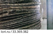 Closeup of stack of fiber mats with grinded olive paste during pressing of olive oil on artisanal factory. Стоковое видео, видеограф Яков Филимонов / Фотобанк Лори