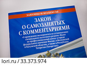 Закон о самозанятых с комментариями. Стоковое фото, фотограф Victoria Demidova / Фотобанк Лори