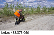 Рекультивация участка добычи нефти. Посадка саженцев сосны. Reclamation of an oil production site. Planting pine seedlings. (2015 год). Редакционное видео, видеограф Евгений Романов / Фотобанк Лори