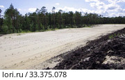 Рекультивация участка добычи нефти. Посадка саженцев сосны. Reclamation of an oil production site. Planting pine seedlings. Стоковое видео, видеограф Евгений Романов / Фотобанк Лори