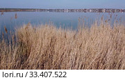Aerial view, low flying through the reeds to the water, in the background the village. Copter moving backwards. Khadzhibey Estuary, Odessa region, Ukraine. Стоковое видео, видеограф Некрасов Андрей / Фотобанк Лори