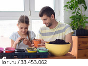Мама и дочка сажают рассаду в цветочные горшки. Стоковое фото, фотограф Иванов Алексей / Фотобанк Лори