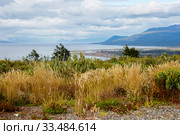 Пунта-Аренас. Чили. Природа национального парка Магелланова пролива Strait of Magellan park. (2020 год). Стоковое фото, фотограф Галина Савина / Фотобанк Лори