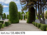 Пунта-Аренас. Чили. Городское кладбище (2020 год). Стоковое фото, фотограф Галина Савина / Фотобанк Лори