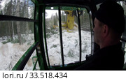 Механизированная рубка леса. Валочно-пакетирующая машина John Deere 903K в работе. Mechanized felling clearing. John Deere 903K feller buncher at work. (2020 год). Редакционное видео, видеограф Евгений Романов / Фотобанк Лори