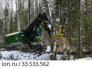 Механизированная рубка леса. Валочно-пакетирующая машина John Deere 903K в работе. Mechanized felling clearing. John Deere 903K feller buncher at work. (2014 год). Редакционное фото, фотограф Евгений Романов / Фотобанк Лори