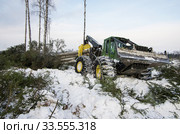 Механизированная вырубка леса. Трелевочный трактор John Deere 748H в работе. Mechanized felling clearing. John Deere 748H skidder at work. Стоковое фото, фотограф Евгений Романов / Фотобанк Лори