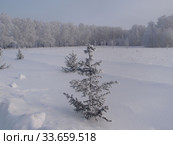 Winter view of the territory of the Achair monastery (2019 год). Стоковое фото, фотограф Александр Карпенко / Фотобанк Лори