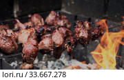 Cooking shish kebab or shashlik on skewers. Стоковое видео, видеограф Ольга Сергеева / Фотобанк Лори