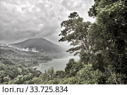 Top view of Tamblingan lake, jungle and mountain in the background (2016 год). Стоковое фото, фотограф Вознесенская Ольга / Фотобанк Лори