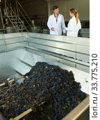Two engineers of winery controlling process. Стоковое фото, фотограф Яков Филимонов / Фотобанк Лори