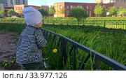 Happy toddler child wearing shirt and hat touching green grass and flowers while walk on pathway in urban park, one year old kid. Стоковое видео, видеограф Кекяляйнен Андрей / Фотобанк Лори