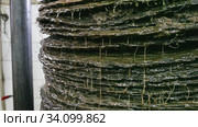 Closeup of stack of fiber mats with grinded olive paste during pressing of olive oil on artisanal factory. Стоковое видео, видеограф Яков Филимонов / Фотобанк Лори