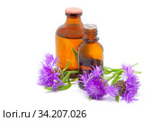 Василек луговой (Centaurea jacea). Цветы василька и бутылочки с маслом, экстрактом (гидролатом) растения. Стоковое фото, фотограф Татьяна Белова / Фотобанк Лори