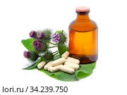 Лопух большой (Arctium lappa) репейник, репей. Бутылка с экстрактом из корня лопуха и капсулы с порошком из корня растения. Стоковое фото, фотограф Татьяна Белова / Фотобанк Лори