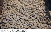 Dried white ganxet bean in baskets on local Catalan market. Стоковое видео, видеограф Яков Филимонов / Фотобанк Лори