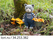 Игрушки. Кот набрал ведро лисичек. Стоковое фото, фотограф Dmitry29 / Фотобанк Лори