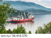 Cargo container ship nuclear powered icebreaker Sevmorput Russian Corporation FSUE Rosatomflot. Container terminal commercial seaport (2019 год). Редакционное фото, фотограф А. А. Пирагис / Фотобанк Лори