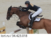 Чемпионка России по конкуру 2020 года, Ксения Хайрулина на Флиппербое преодолевает барьер. Редакционное фото, фотограф Дмитрий Неумоин / Фотобанк Лори