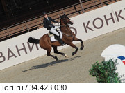 Чемпионка России по конкуру Ксения Хайрулина на Флиппербое (2020 год). Редакционное фото, фотограф Дмитрий Неумоин / Фотобанк Лори