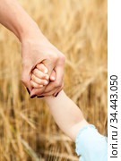 Concept of adoptive child, human hand holding arm of baby against yellow wheat background. Стоковое фото, фотограф Кекяляйнен Андрей / Фотобанк Лори
