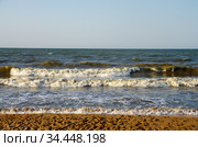 Побережье Азовского моря летом. Стоковое фото, фотограф Natalia Sidorova / Фотобанк Лори