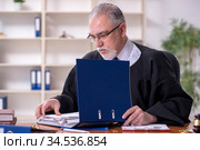 Old male judge working in courthouse. Стоковое фото, фотограф Elnur / Фотобанк Лори