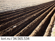 Plowed soil with furrows. Стоковое фото, фотограф Яков Филимонов / Фотобанк Лори