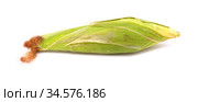 Ear of young sweetcorn isolated on white background. Стоковое фото, фотограф Tamara Kulikova / Фотобанк Лори