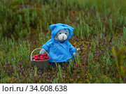 Игрушки. Кот в плаще с ведром клюквы. Стоковое фото, фотограф Dmitry29 / Фотобанк Лори